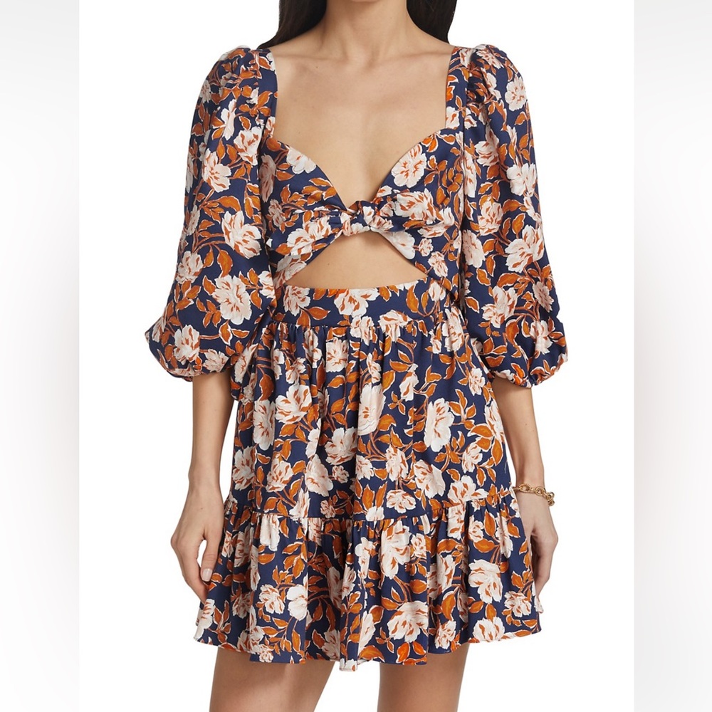AMUR NWT Medina Dress